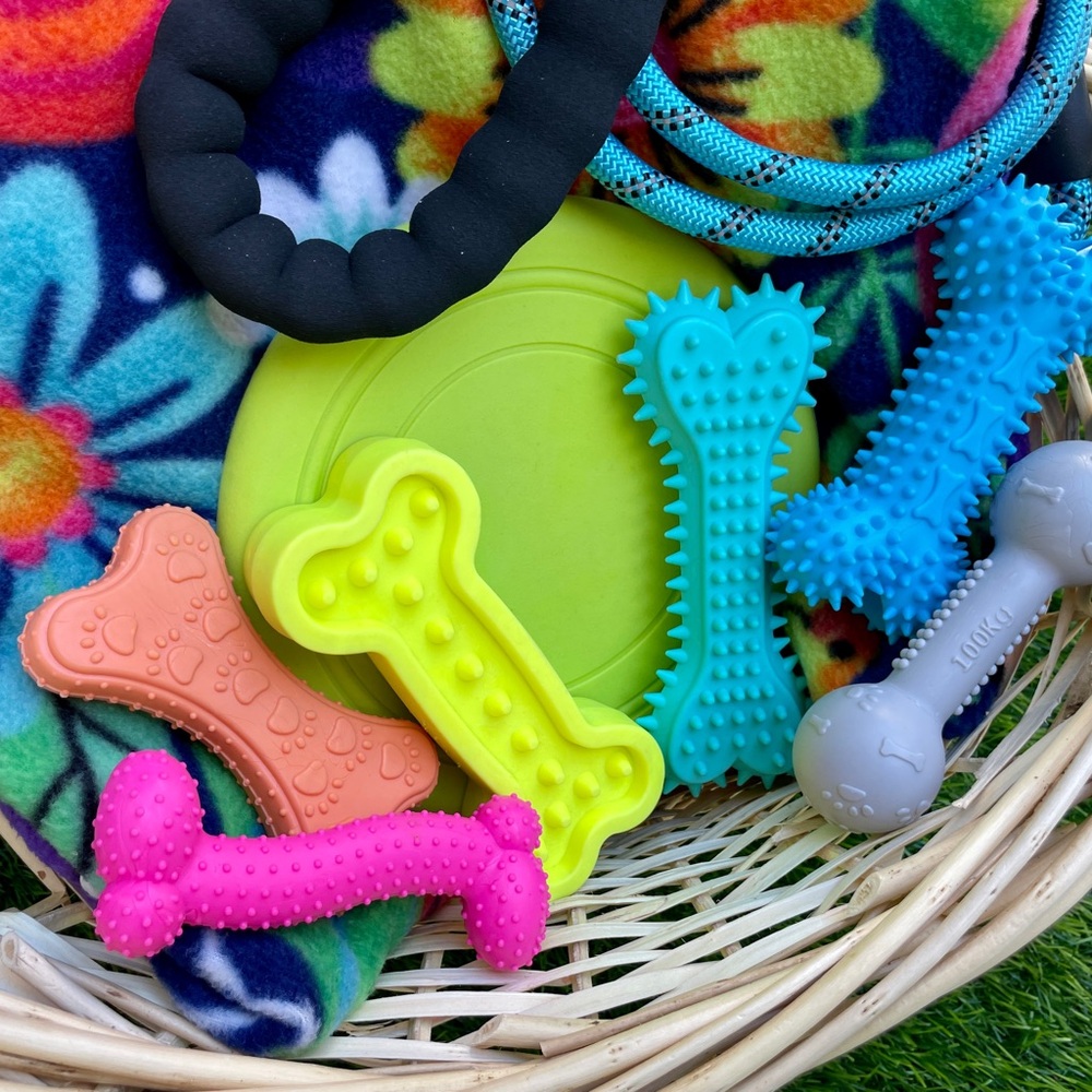 NWT 🐾💓🧺Pet Dog Gift Basket 🧺 💓🐾Fur-Baby Chew Toys 🦴 Leash & Blanket